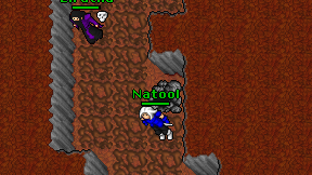 Natool on screen