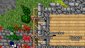 Vindastir on screen