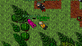 Lediko on screen
