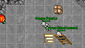 Mage Pooks on screen