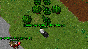 Samanosuke Brother on screen