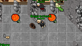 Reprezient on screen