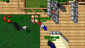 Neoozim on screen