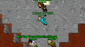 Aqua Druid on screen