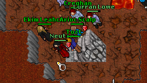 Tozt on screen