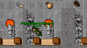 Papsidera Moore on screen