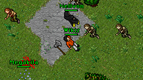 Wikiz on screen