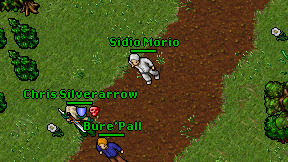 Sidio Morio on screen