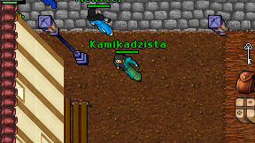 Kamikadzista on screen