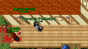 Daromir Palladyn on screen