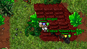 Dongui Longui on screen