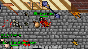 Elewarpez on screen