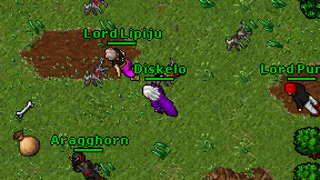 Diskelo on screen