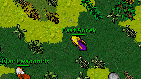 Fast Sorek on screen