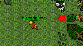 Jasper is here on screen