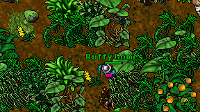Ruffy Gomes on screen