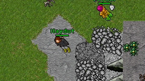 Haydut on screen