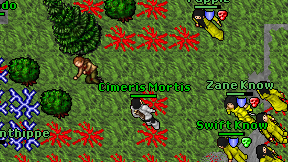 Cimeris Mortis on screen