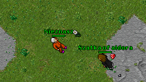 Nieznasz on screen