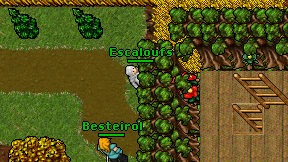 Escaloufs on screen