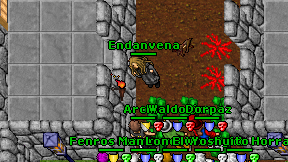 Endanvena on screen