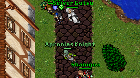 Apronias Knight on screen