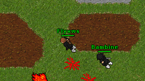 Flyxws on screen