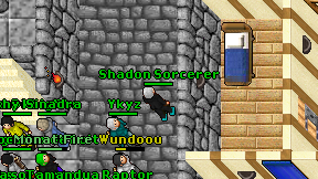 Shadon Sorcerer on screen
