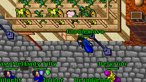 Gladiemasa on screen