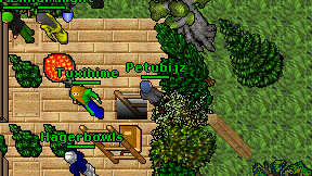 Petubijz on screen