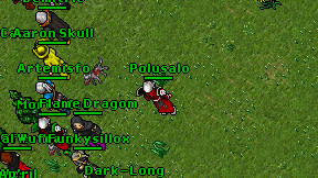 Polusalo on screen