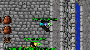 Murky Ninja on screen