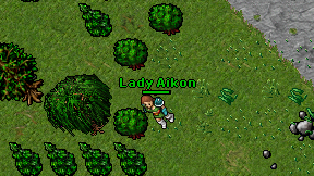 Lady Aikon on screen