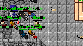 Elzelin on screen