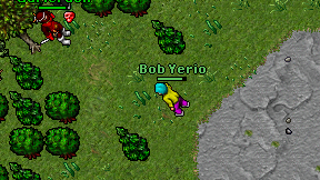 Bob Yerio on screen