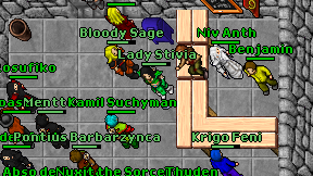 Lady Stivia on screen