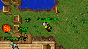 Aeru Acon on screen