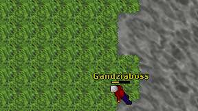 Gandziaboss on screen