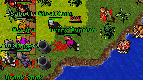 Terry'Warrior on screen