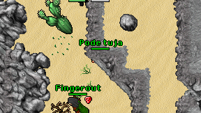 Pode tuja on screen