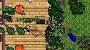Le Peludon on screen