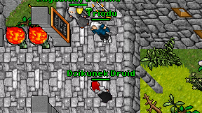 Dzikunek Druid on screen