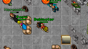 Bubinator on screen