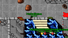 Nelodiana on screen
