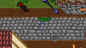 Nanaiz on screen