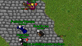 Rostres on screen