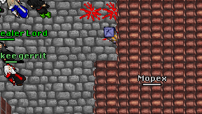 Dragon Lisa on screen