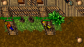Royal Heym on screen