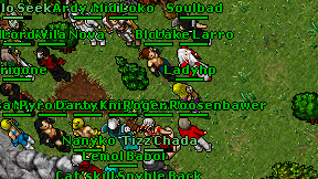Blodiia on screen