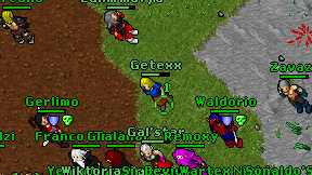 Getexx on screen